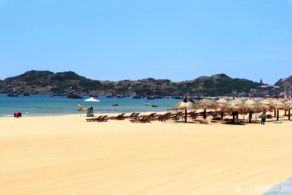 Bãi biển Quy Nhơn trong xanh